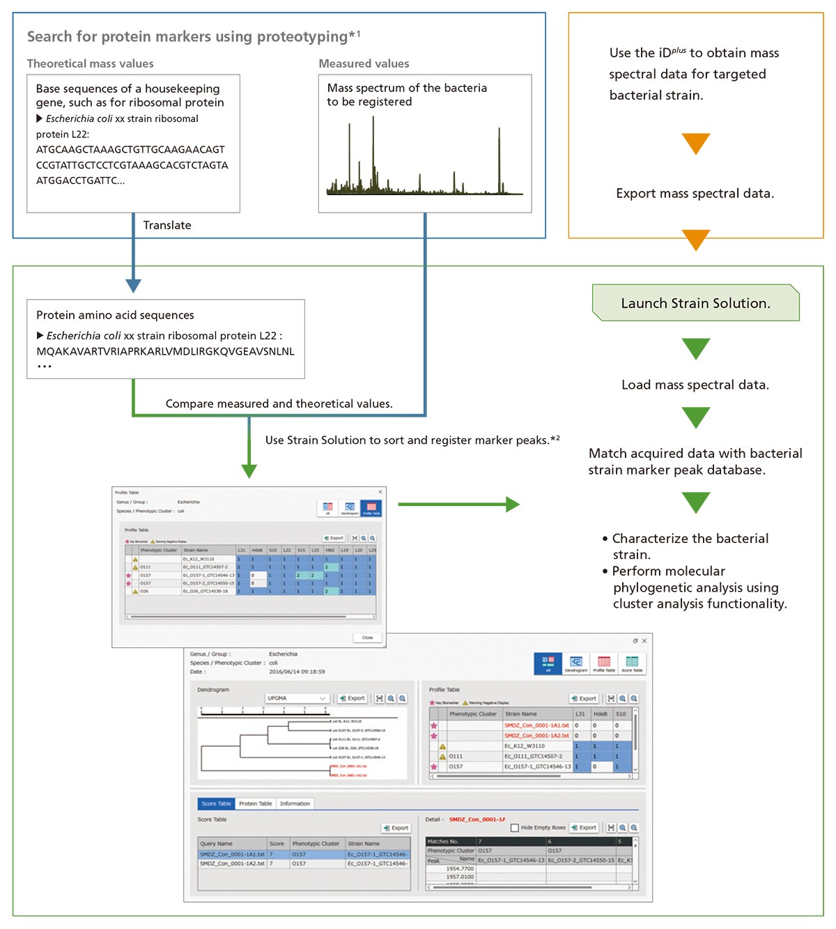 toma様確認用ページ AXIMA Microorganism Identification System - Options : SHIMADZU